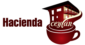 logo-ceylan2